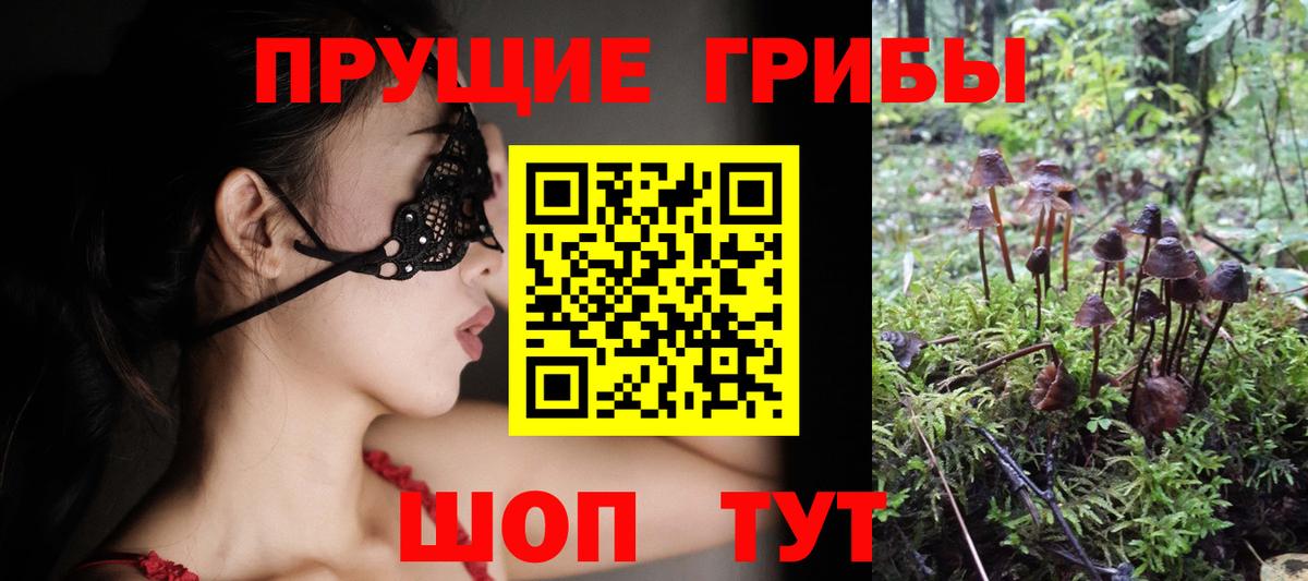 Железногорск  Псилоцибиновые грибы ЛСД  Вход с VPN 